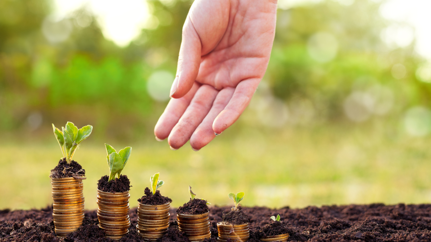 Growing Your Financial Garden - The Art of Nurturing Your Investments