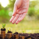Growing Your Financial Garden – The Art of Nurturing Your Investments