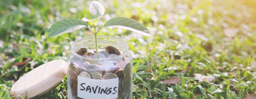 Maximizing Your Money- 5 Steps to Master the Art of Smart Saving